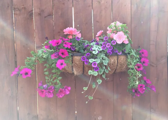 Rosehill Guest House Pitlochry